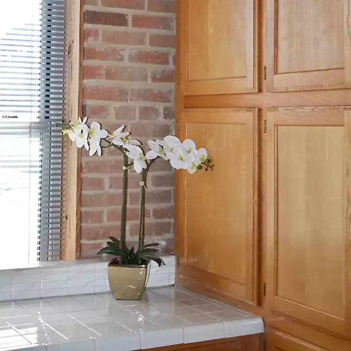 Orchid Arrangement in Gold Pot