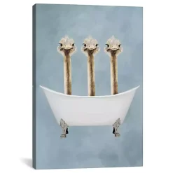 Ostriches in Bathtub Canvas Art Print