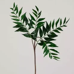 Palmate Fern Stems, Set of 3