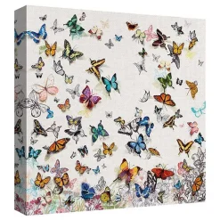 Papillon Canvas Art Print