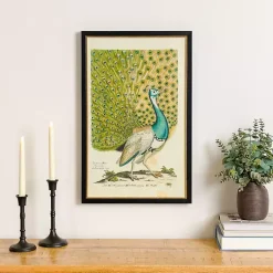 Peacock Framed Wall Art