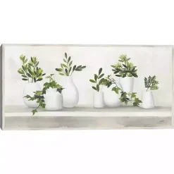 Plant Shelf Life Framed Canvas Art Print