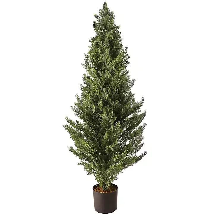 Potted Arborvitae Christmas Tree