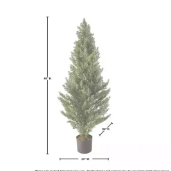 Potted Arborvitae Christmas Tree