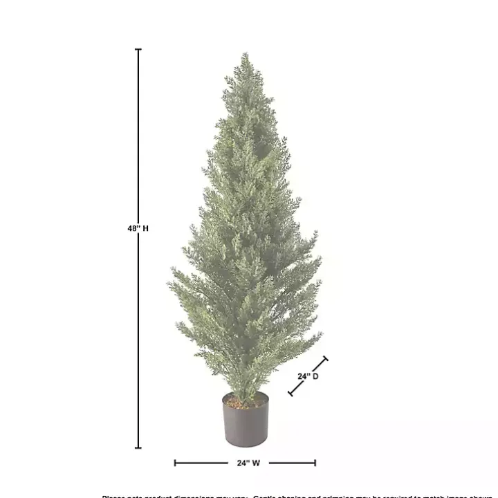 Potted Arborvitae Christmas Tree