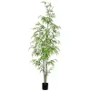 Potted Bamboo Tree, 5 ft.