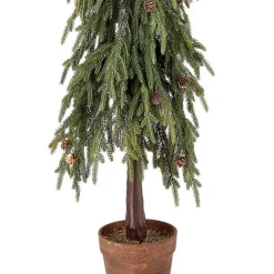 Potted Soft Touch Norfolk Pine Tree, 48 in.