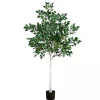 Pre-Lit Warm LED Birch Tree, 5 ft.