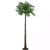 Pre-Lit Warm LED Palm Tree, 6 ft.