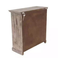 Rustic Wood and Glass 2-Door Cabinet