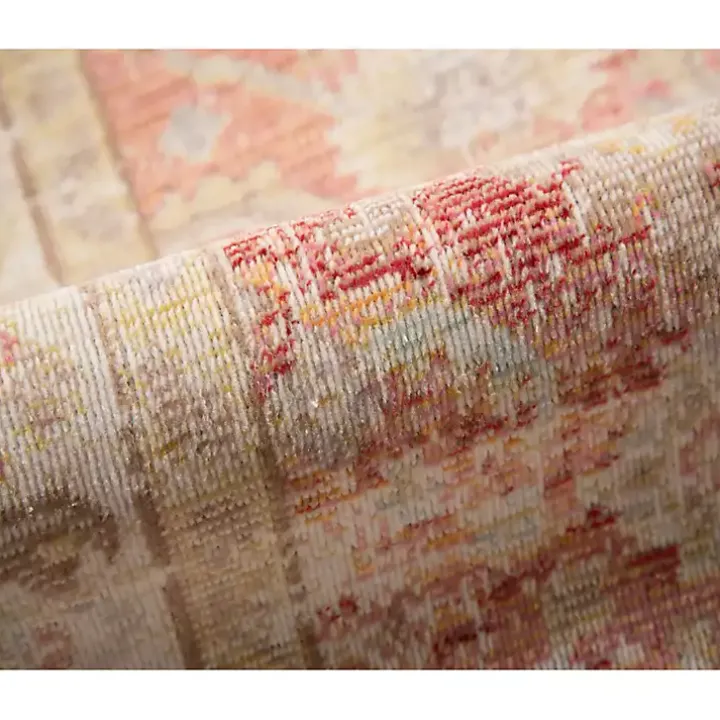 Salmon Vintage Border Area Rug