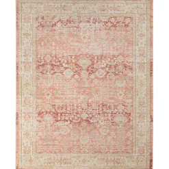 Salmon Vintage Border Area Rug, 8x11