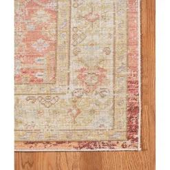 Salmon Vintage Border Area Rug, 8x11