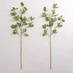 Seeded Eucalyptus Sprays, Set of 2