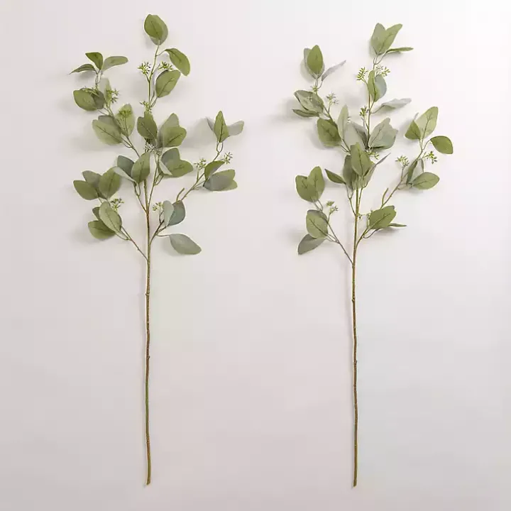Seeded Eucalyptus Sprays, Set of 2