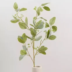 Seeded Eucalyptus Sprays, Set of 2