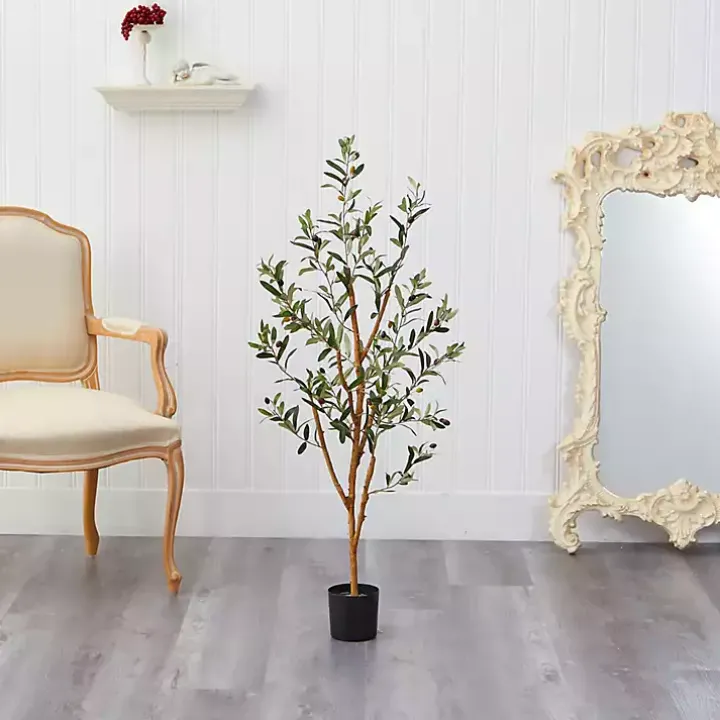 Slender Olive Branch Tree in Nursery Planter