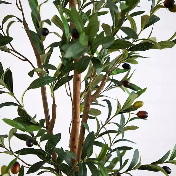 Slim Olive Tree in Woven Planter, 7 ft.