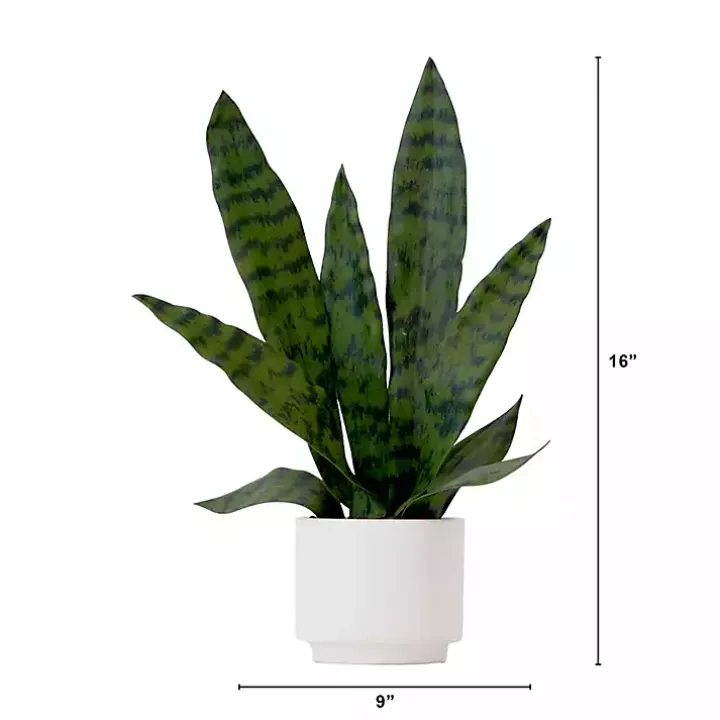 Snake Plant Arrangement in White Planter