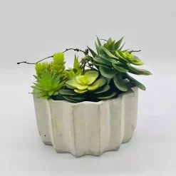 Succulent Arrangement in Zig-Zag Gray Planter