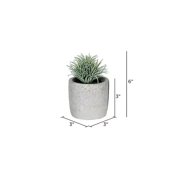 Succulents in Ceramic Pots, Set of 4