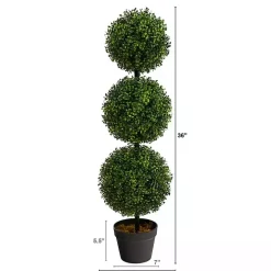 Triple-Ball Boxwood Topiary in Black Planter