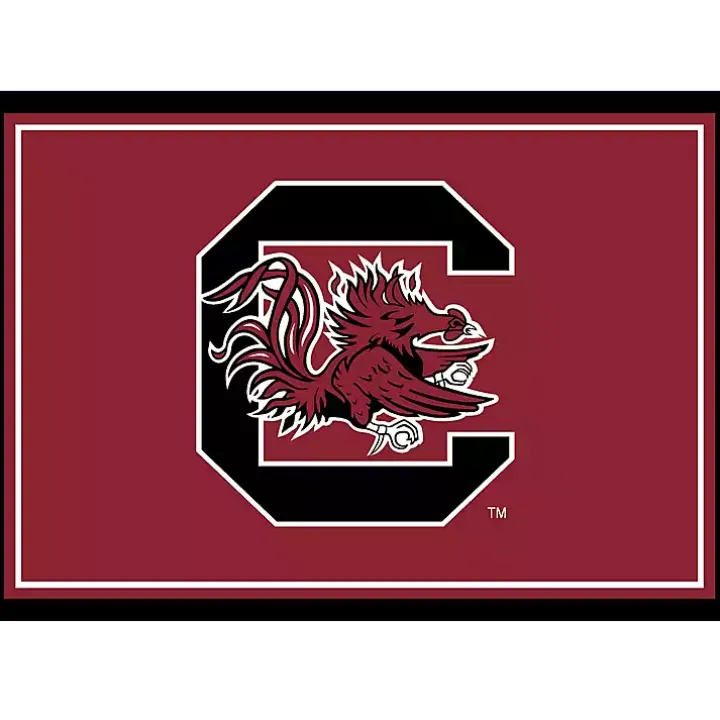 University of South Carolina Area Rug, 3x4