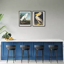 Vintage American White Pelican Framed Art Print
