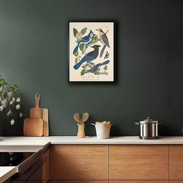 Vintage Blue Jays Birds Framed Art Print