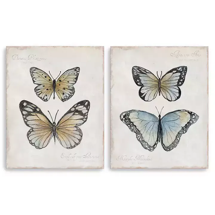 Vintage Butterflies Canvas Art Prints, Set of 2