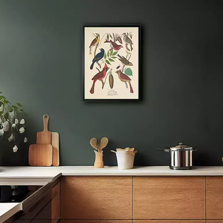 Vintage Finch Birds Framed Art Print