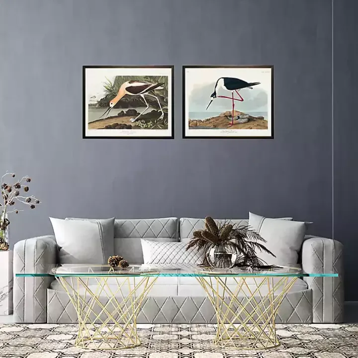 Vintage Long Legged Avocet Framed Art Print