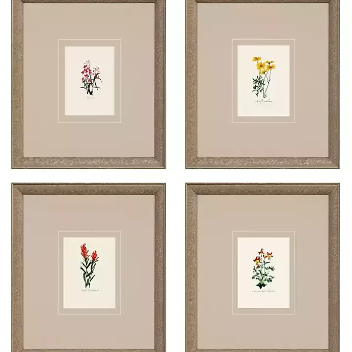 Western Wildflower Framed Art Prints, Set of