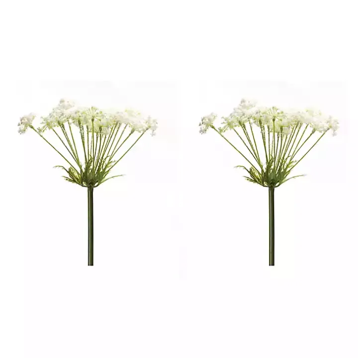 White Queen Anne's Lace Stems, Set of 2