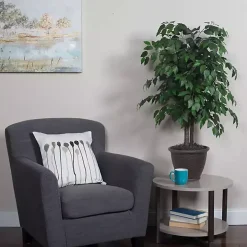 Wood Trunk Ficus Bush in Rattan Basket